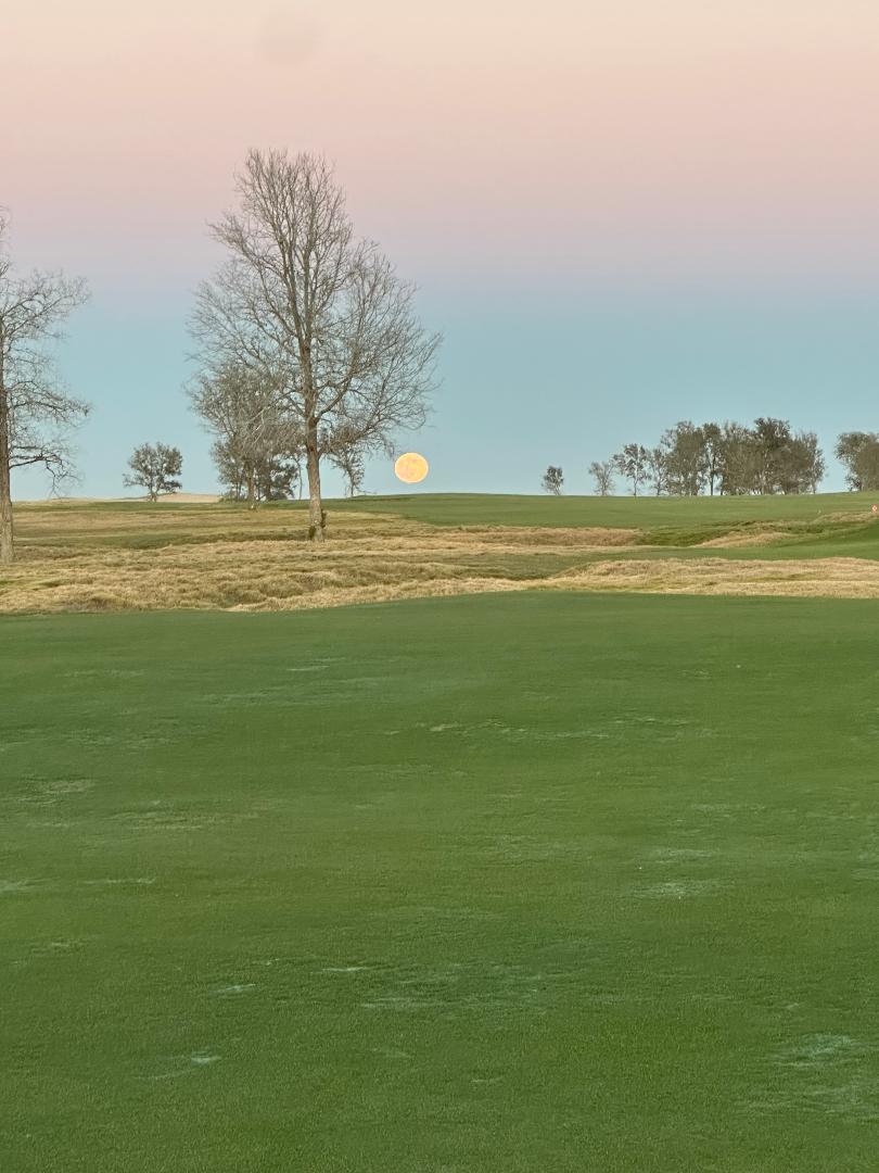 Golf course construction and turf detail